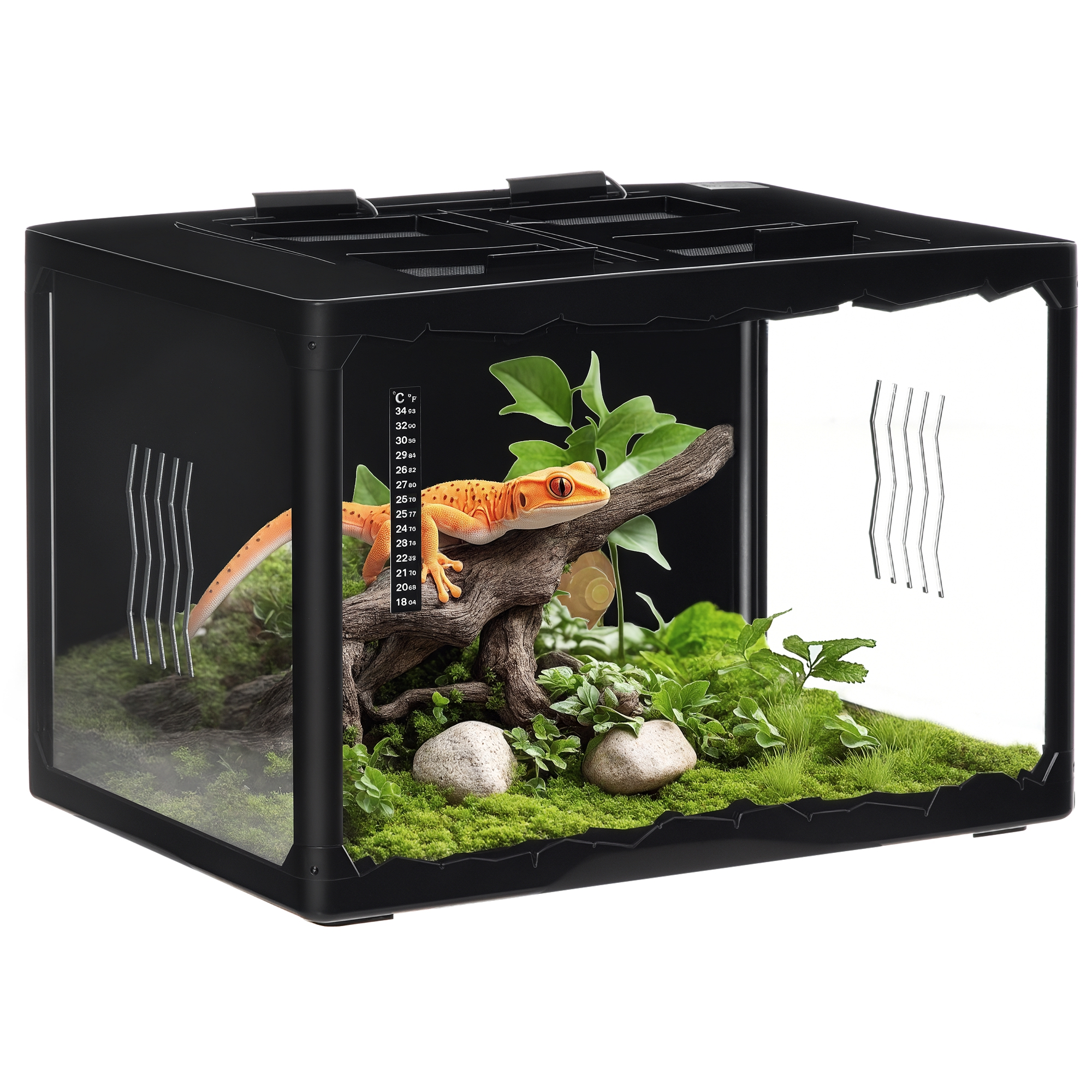 PawHut Terrarium en verre couvercle grillagé 2 parties amovibles distributeur eau thermomètre pincette 2 douilles inclus noir Aosom France PawHut Terrarium en verre couvercle grillagé 2 parties amovibles distributeur eau thermomètre pincette 2 douilles inclus noir Aosom France