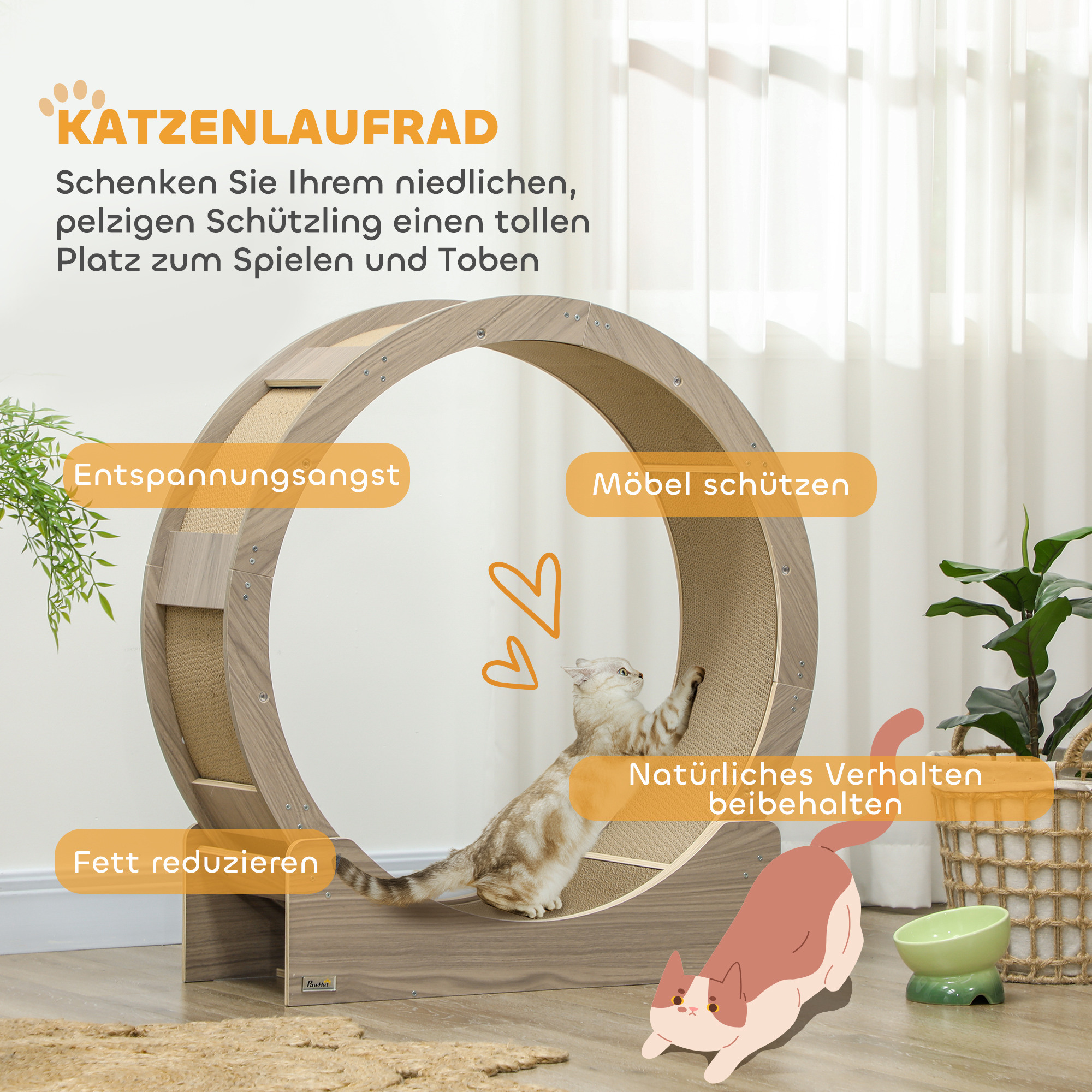 Kassi treeningratas, 91 cm, piduriga, kraapimismatt, kassiratas tervislikuks treeninguks, pähkel
