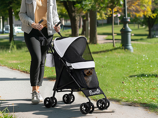 Wózki dla psów