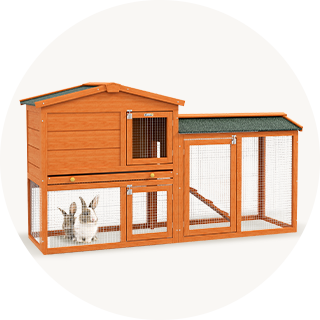 Gryzonie i małe zwierzęta