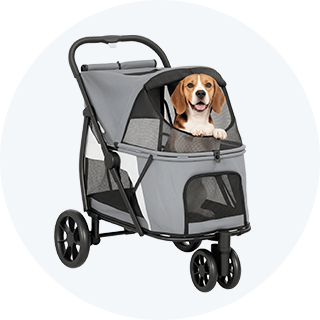 Hondenbuggy