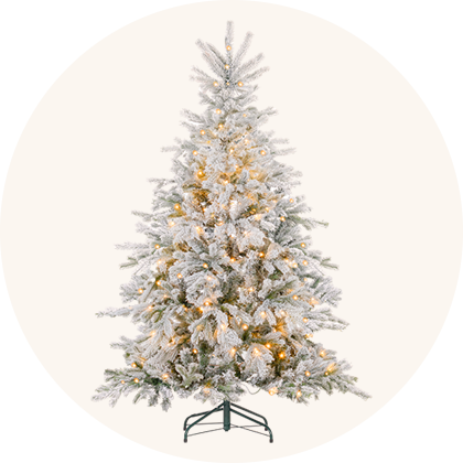 Christmas Trees Christmas Trees