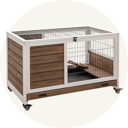 Rabbit Hutch