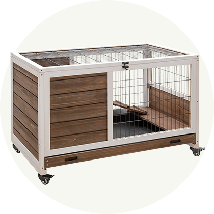 Rabbit Hutch
