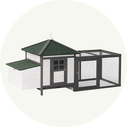 Chicken Coop