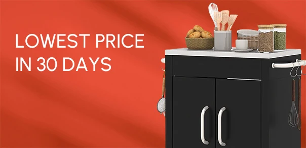 LOWEST PRICE IN 30 DAYS