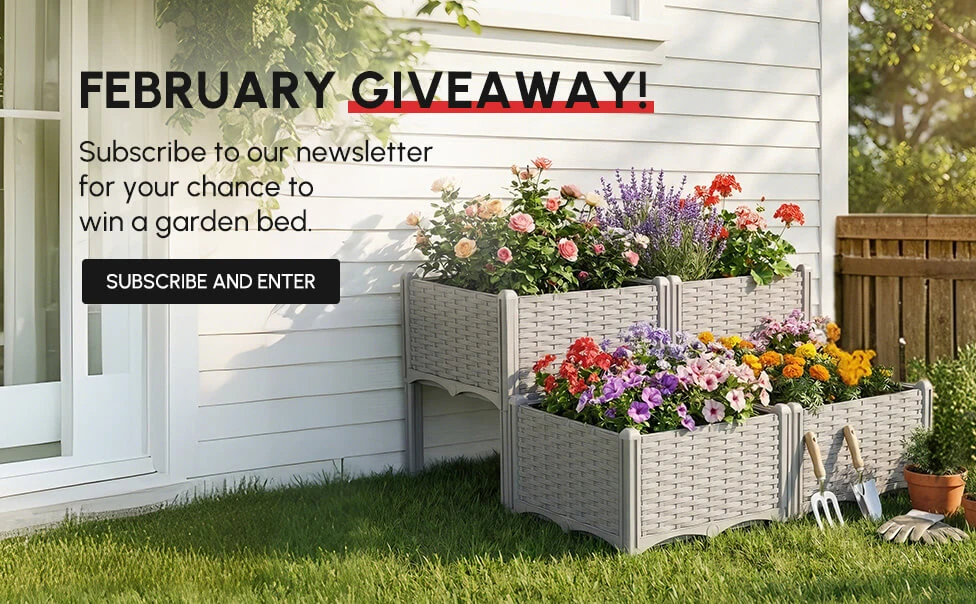 Subscribe to our newsletter for your chance to win a garden bed.