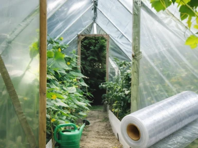 Lifespan of greenhouse covering film and panels