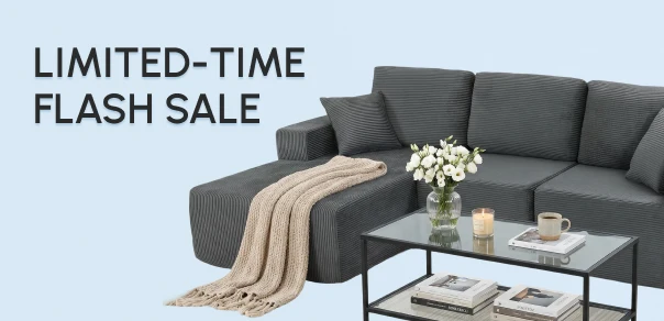 LIMITED-TIME FLASH SALE