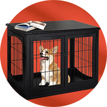 Klatki kennelowe