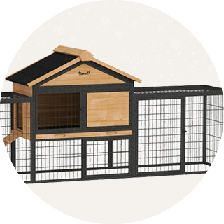 Gryzonie i małe zwierzęta