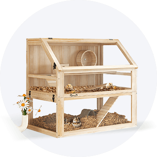 Gryzonie i małe zwierzęta