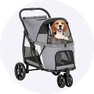 Hondenbuggy