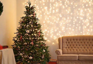 ¿¿Cómo elegir un árbol de Navidad?