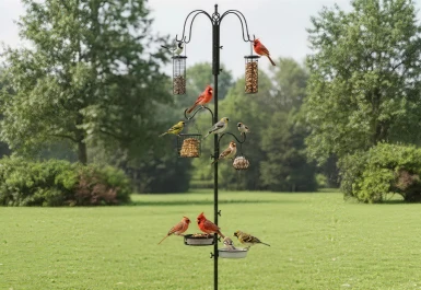 Dónde colocar los comederos para aves: consejos para atraer más pájaros