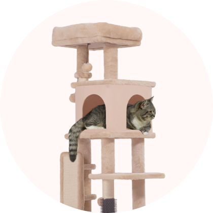 Arranhadores para Gatos