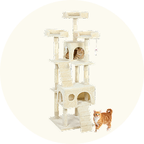 Arranhadores para Gatos