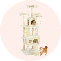 Arranhadores para Gatos