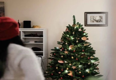 Que árvore de Natal devo comprar?
