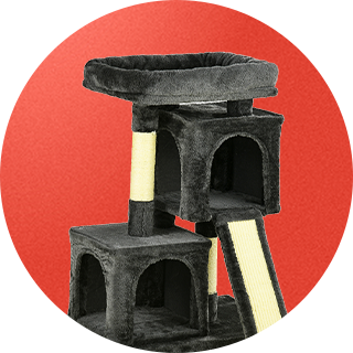 Ansambluri pentru pisici