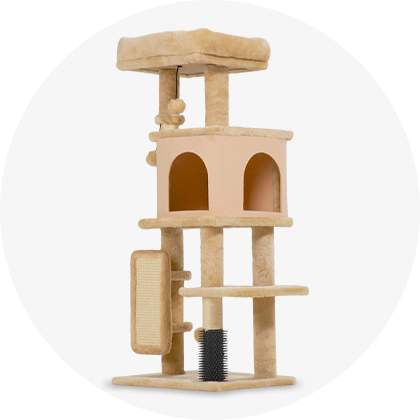 Ansambluri pentru pisici