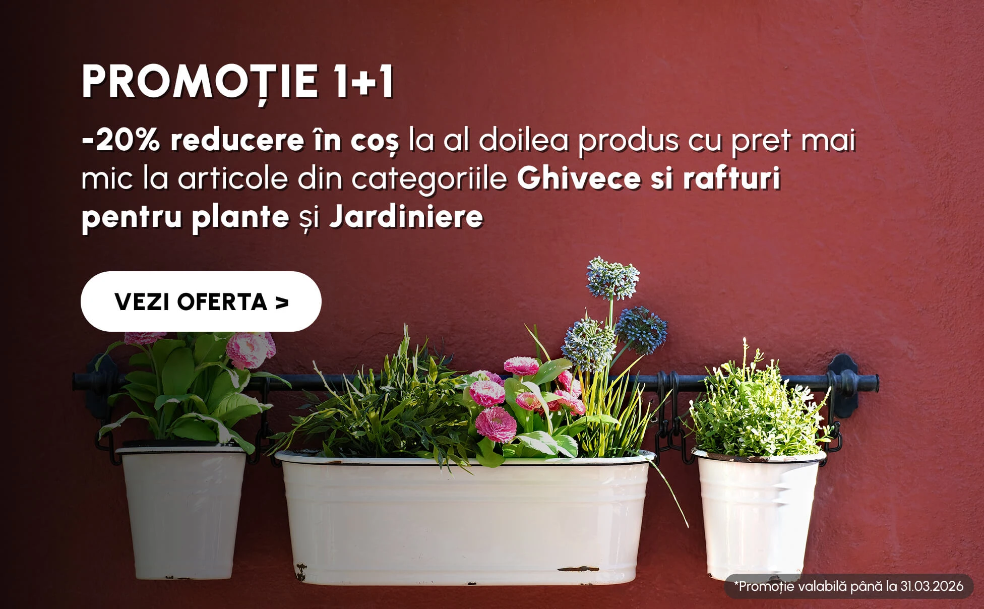 -20% reducere în coș la al doilea produs cu pret mai mic la articole din categoriile Ghivece si rafturi pentru plante și Jardiniere