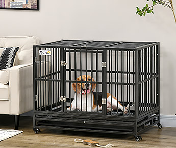 Dog Cages