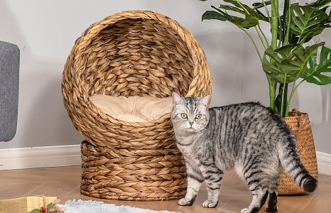 Cat houses: Their own spot to relax