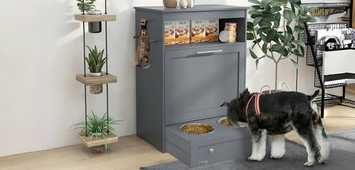 Dog bowl: Mealtimes, made better