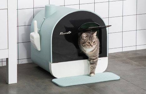 Cat litter boxes: Clean and practical
