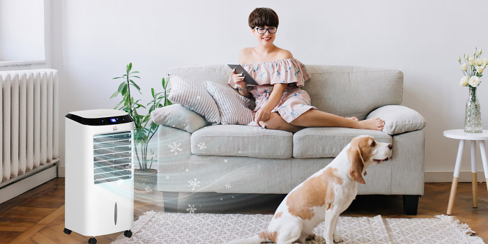 Cool solutions for the summer 