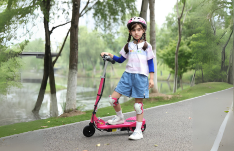 THE ELECTRIC SCOOTER