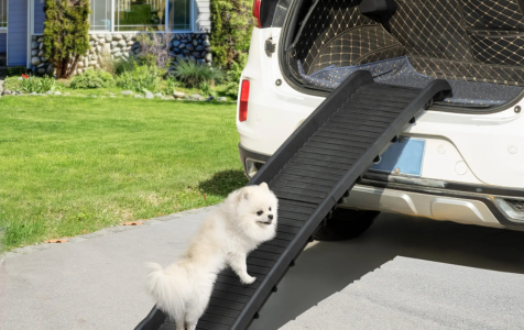 EXTENDABLE DOG RAMP