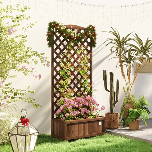 Garden joy - Small garden, big peace