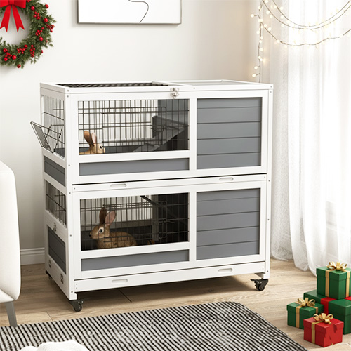 Rabbit - Safe and snug