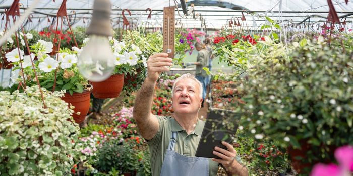 2.1 Gain de chaleur solaire