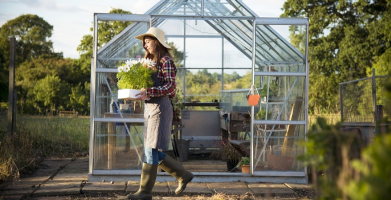 3.3 Structural Displacement Without Structural Damage