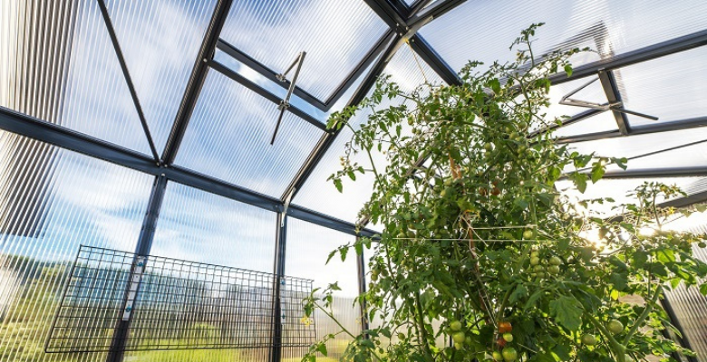 3.2 Gewächshäuser mit starren Wänden