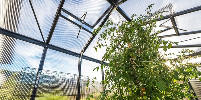 3.2 Rigid Panel Greenhouses