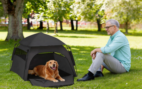 Foldable pet tent