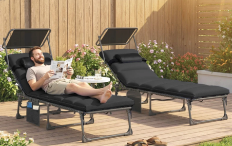 Canopy sun lounger