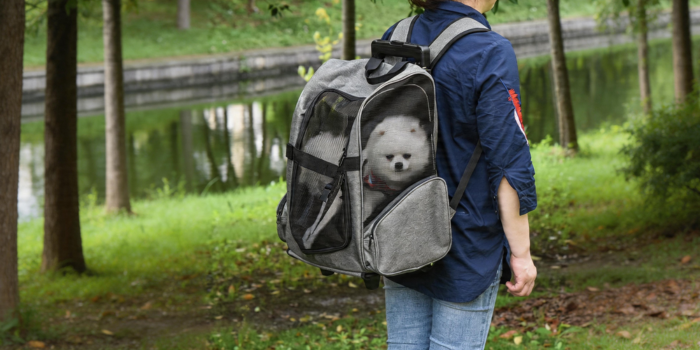 Pets can’t keep up during cycling or longer trips