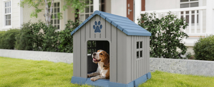 Indoor & Outdoor activity space