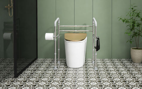 Toilet frames