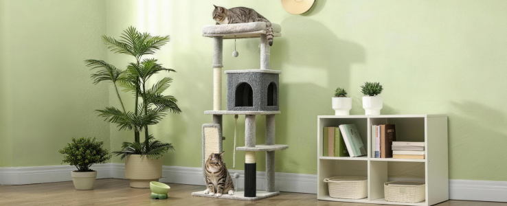 THE CLIMBING FLOORS