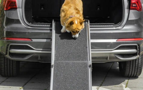 EXTENDABLE DOG RAMP