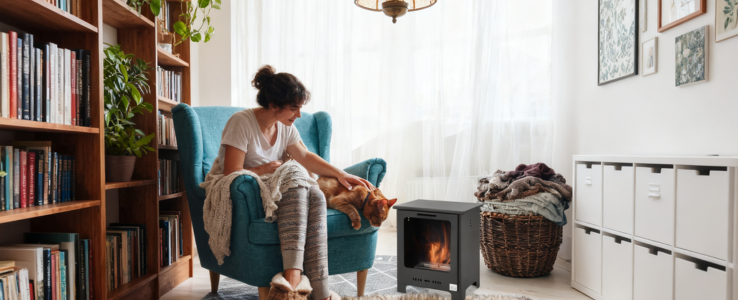 THE ELECTRIC FIREPLACE