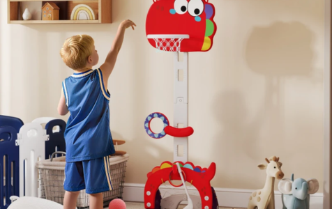 BASKETBALL HOOP