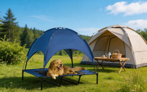 Foldable pet bed