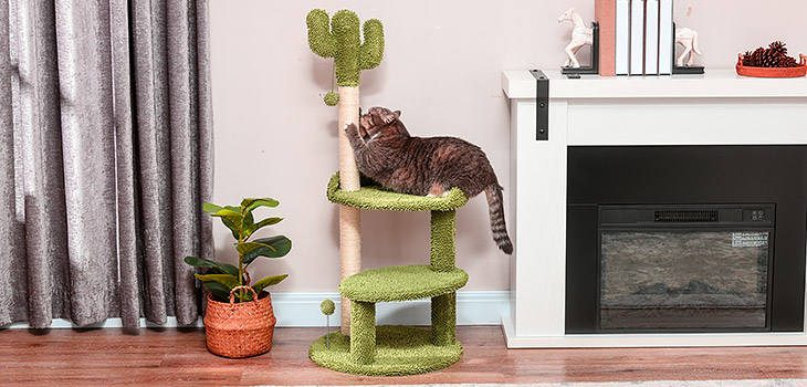 Kratzparadies für Stubentiger